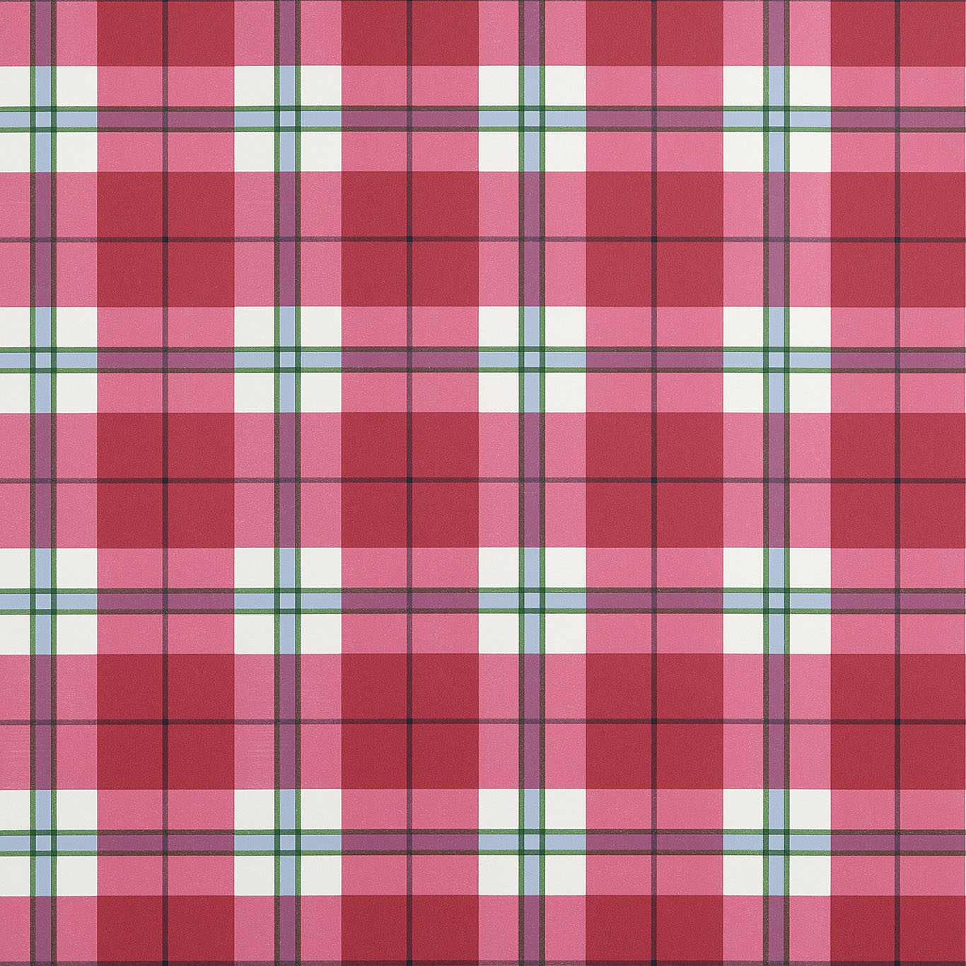 DOUGLAS PLAID