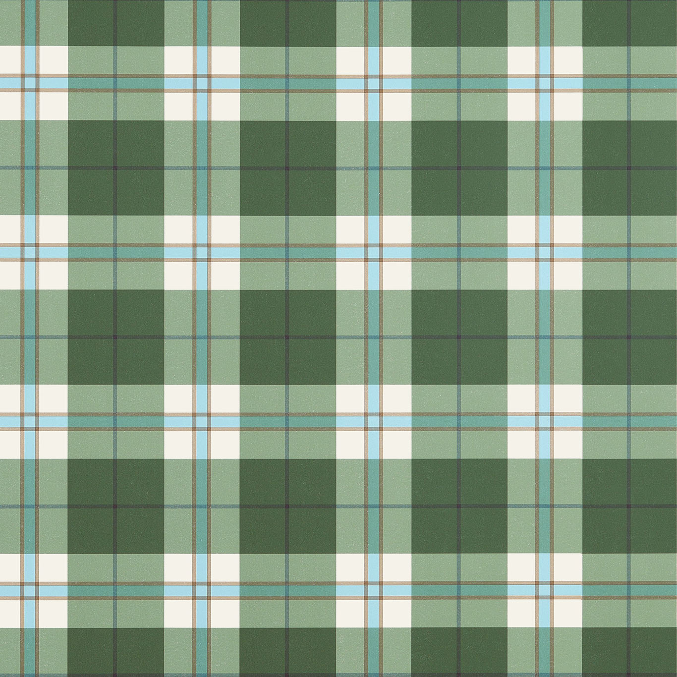 DOUGLAS PLAID