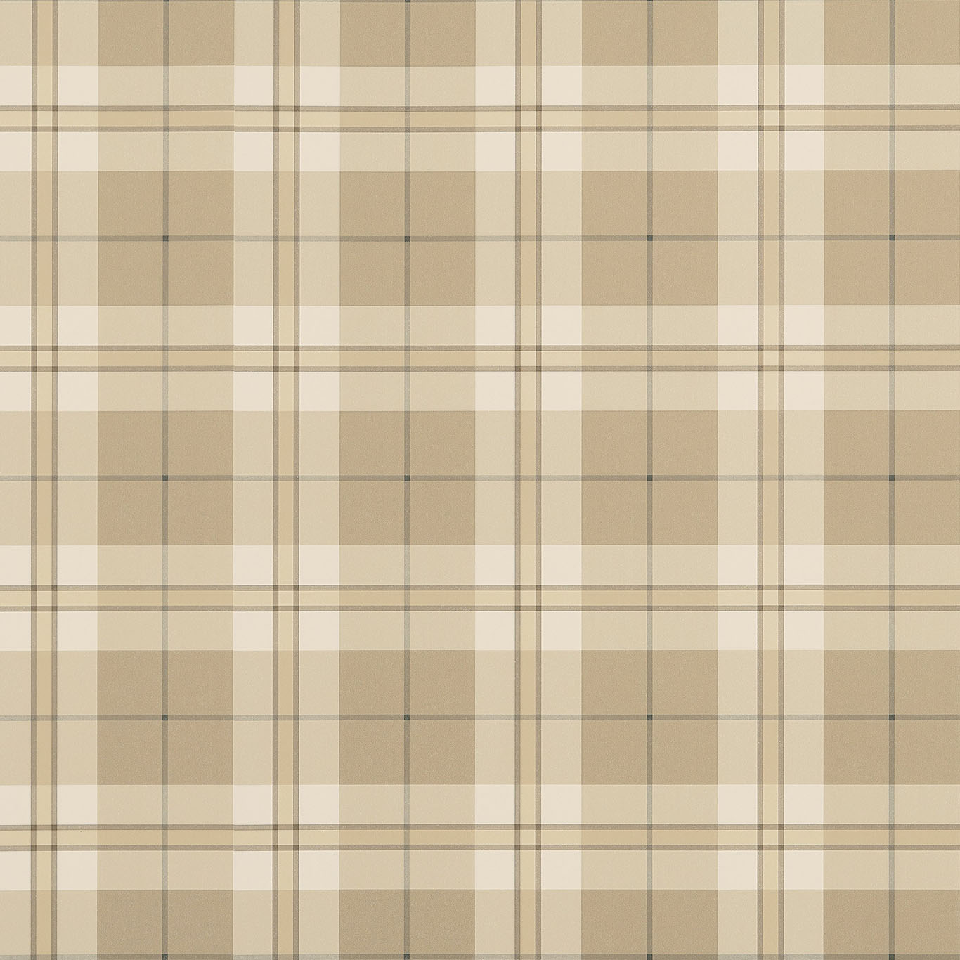 DOUGLAS PLAID