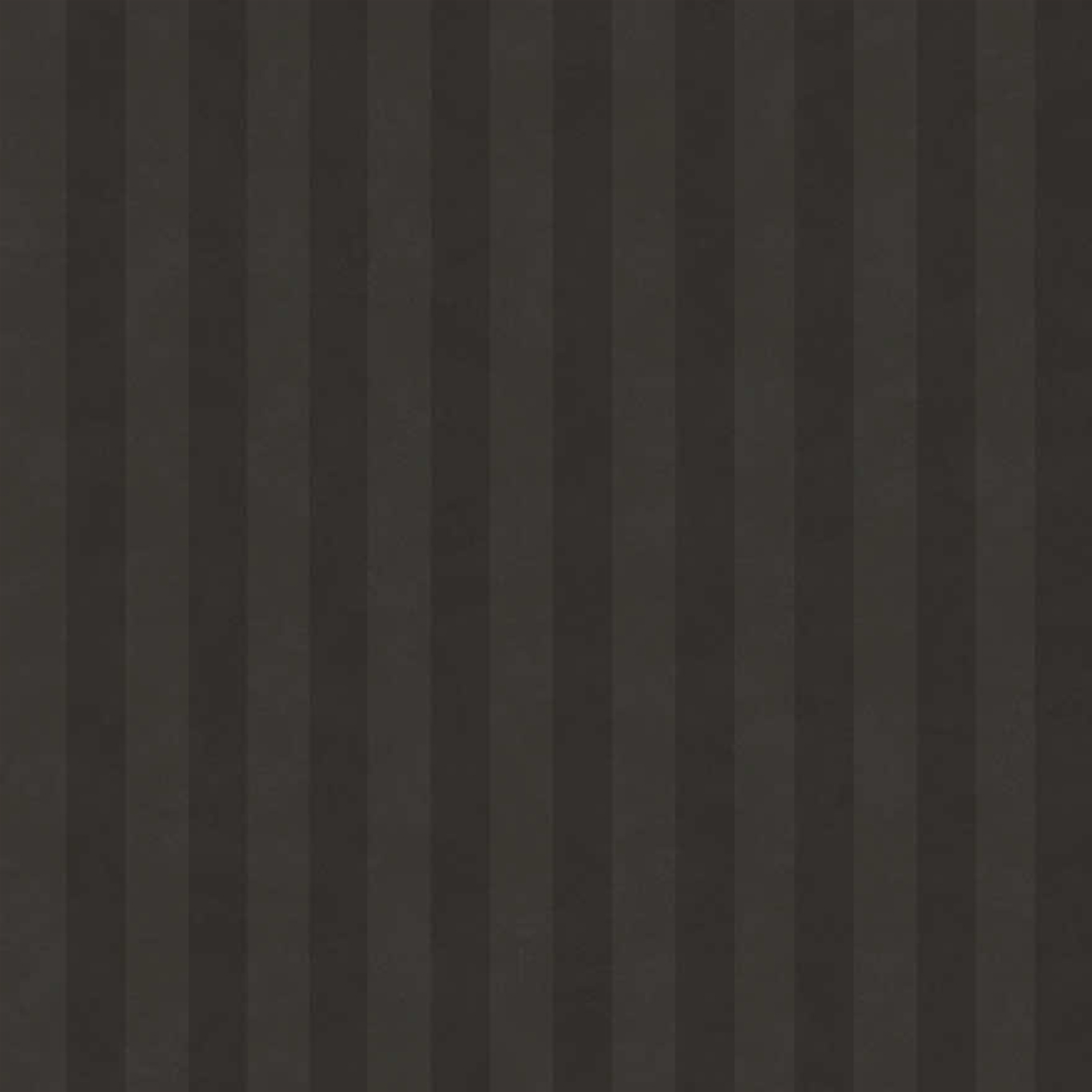 Aquila Charcoal