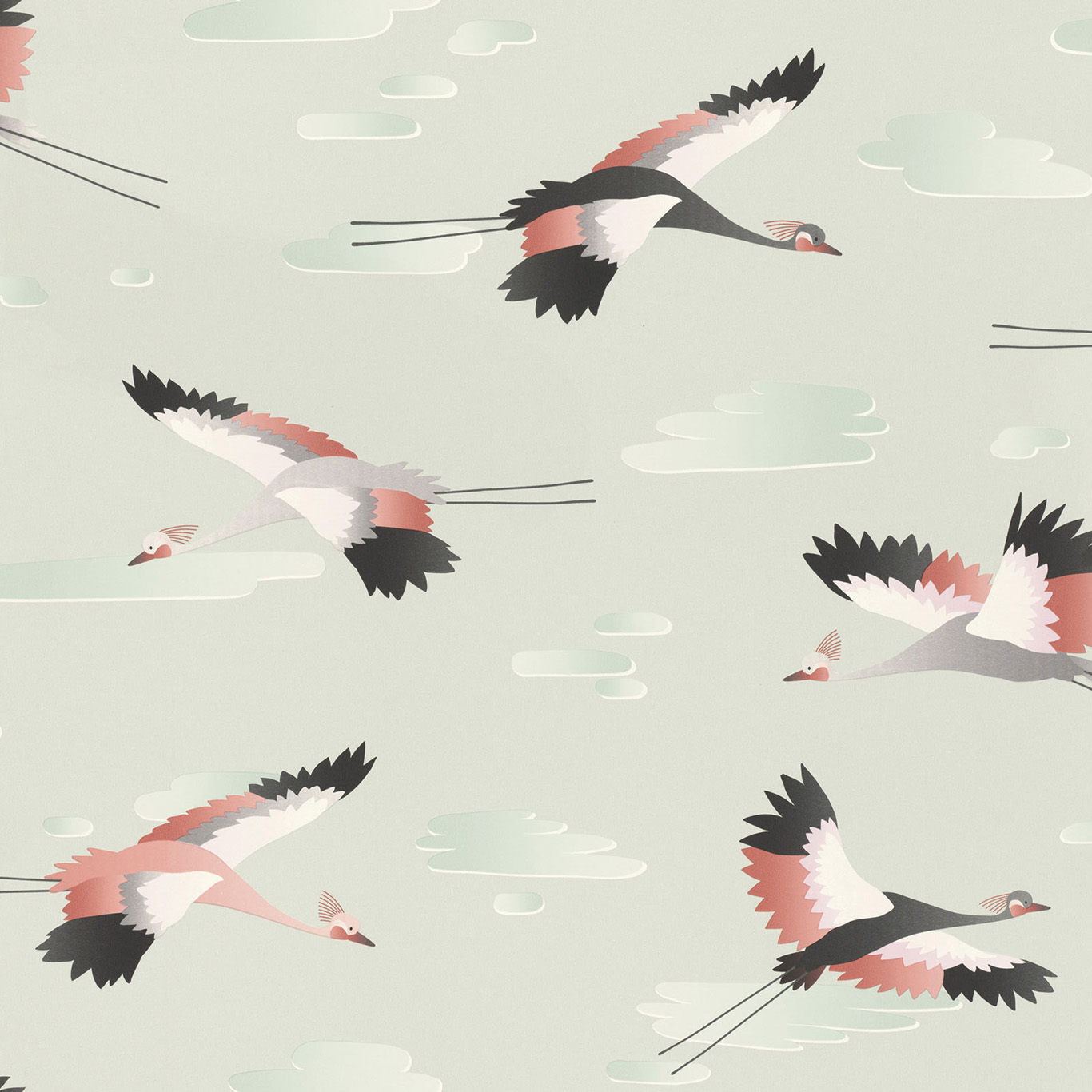 Bird Clouds