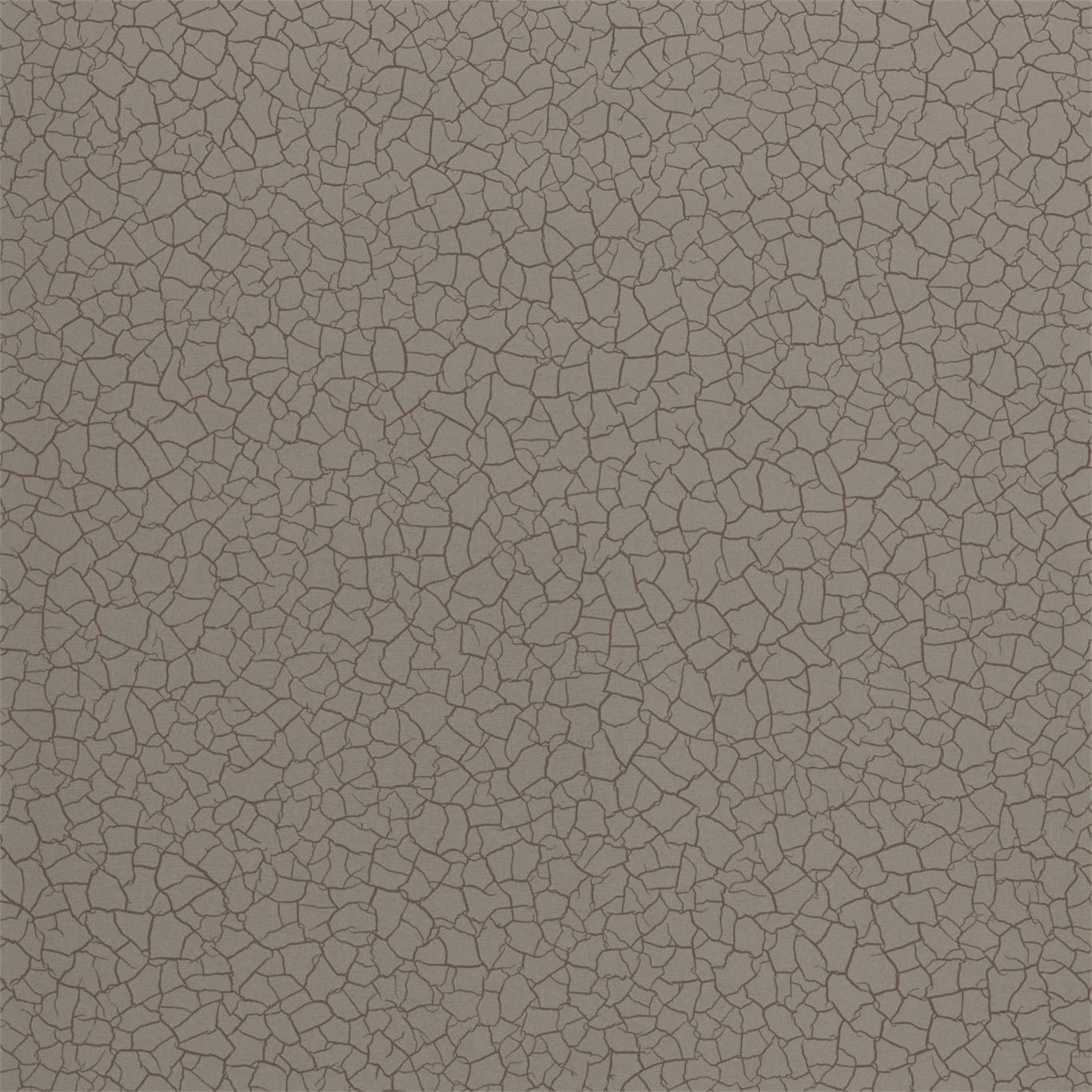 CRACKED EARTH