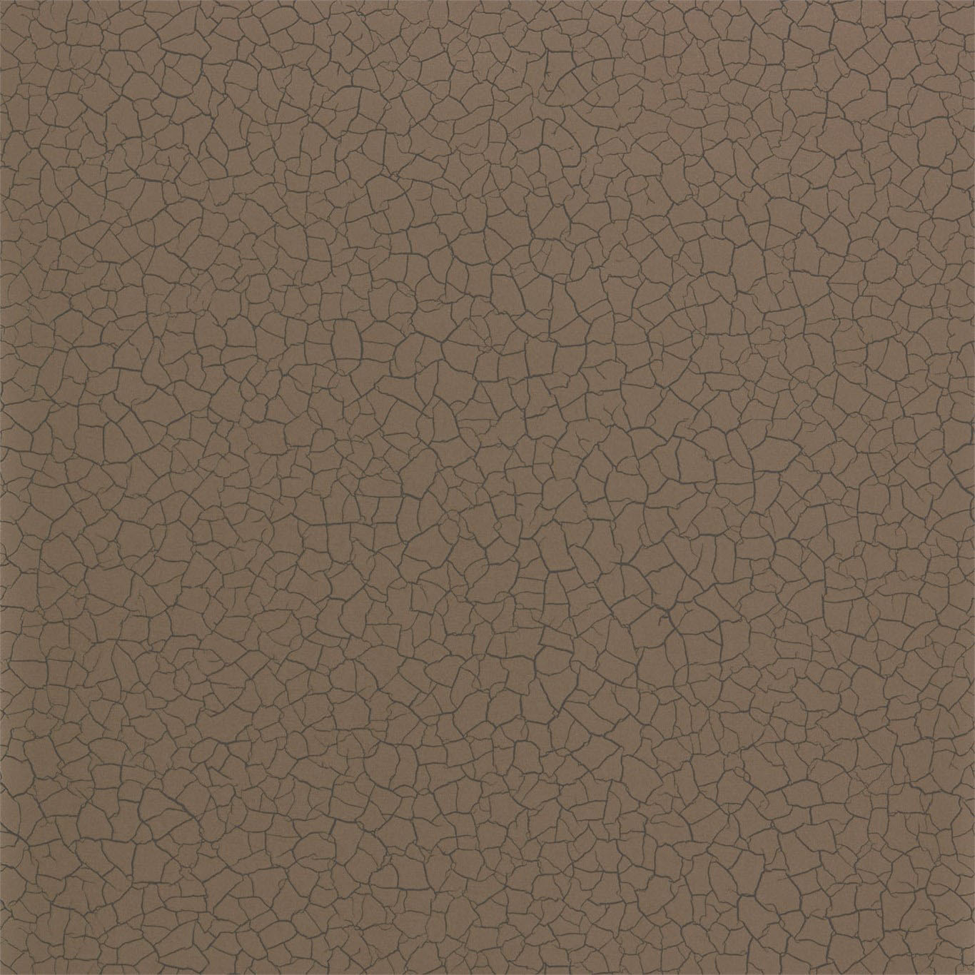 CRACKED EARTH