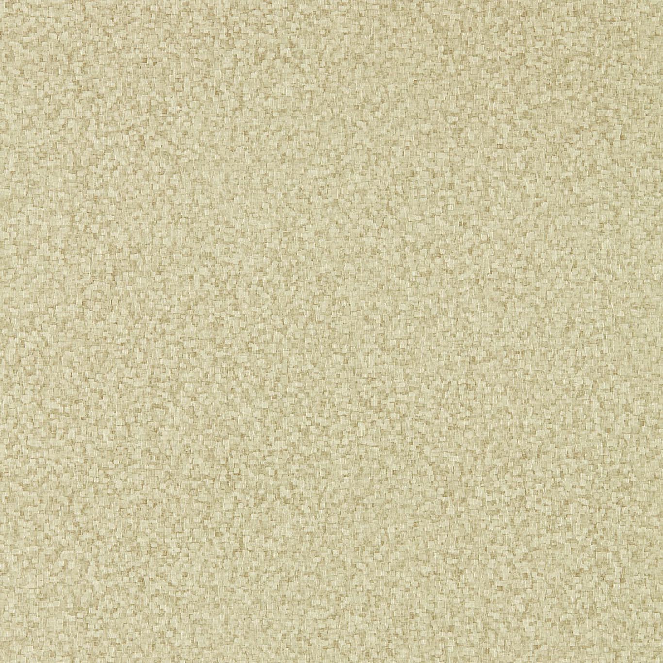 MOSAIC FOSSIL