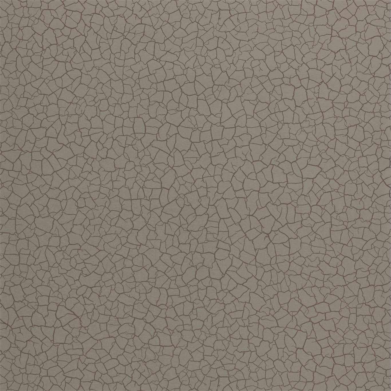 CRACKED EARTH