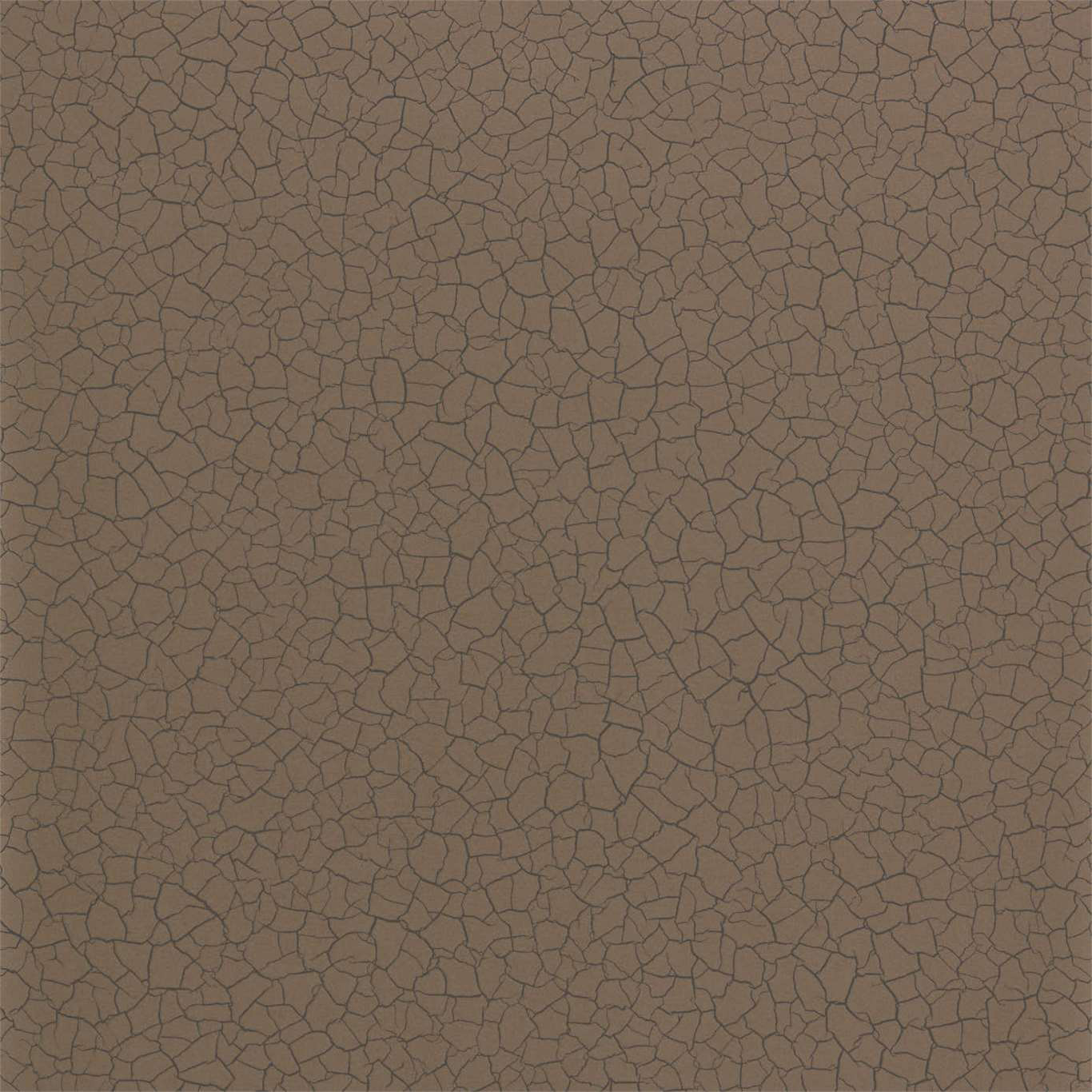 CRACKED EARTH