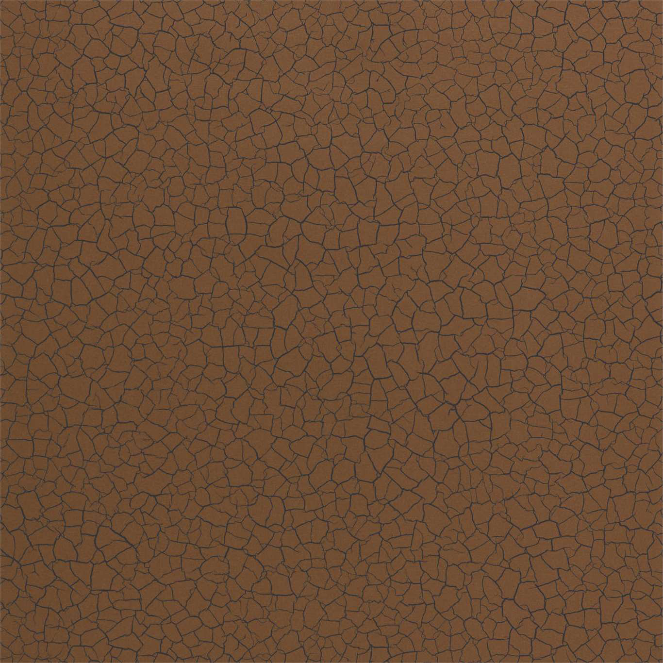 CRACKED EARTH