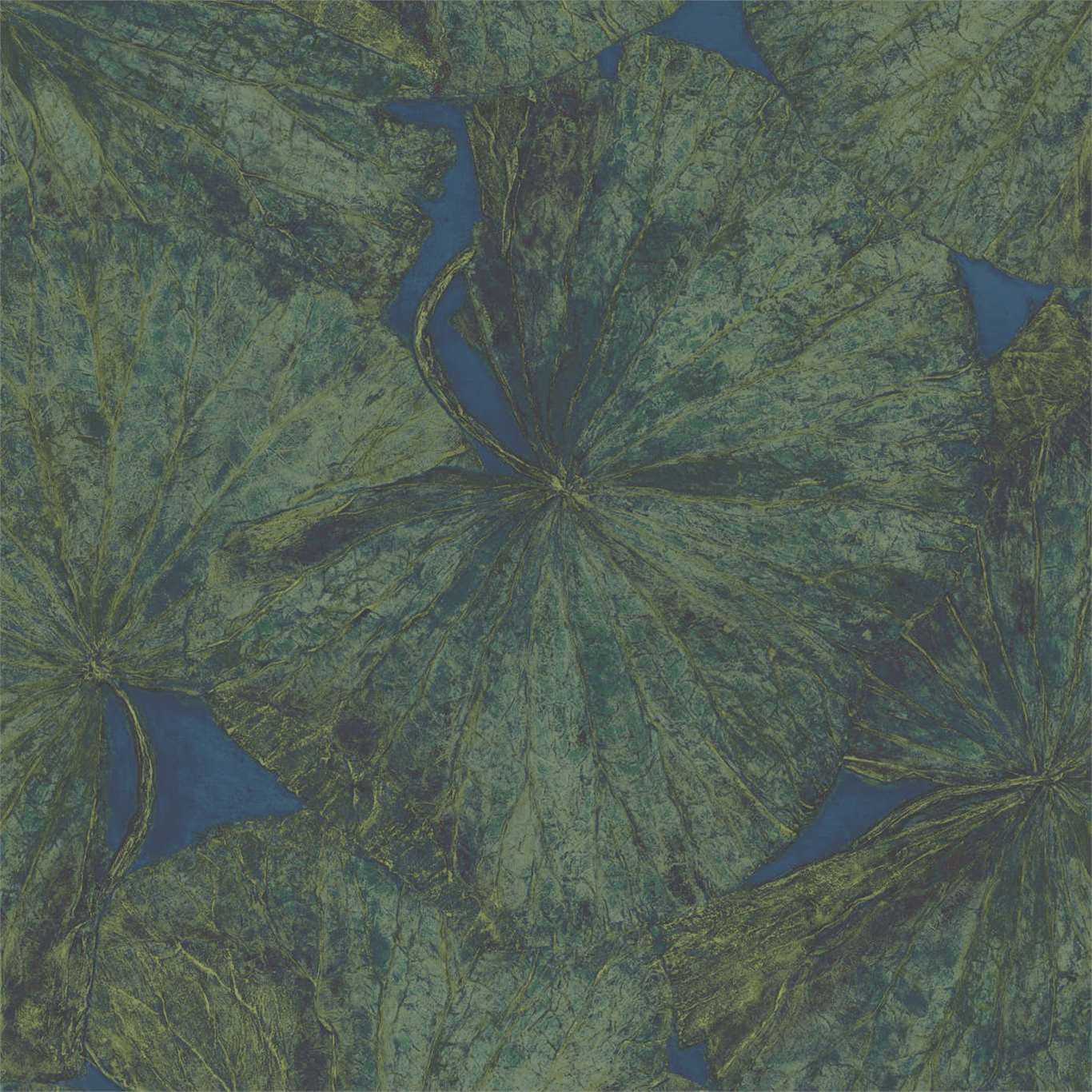 TAISHO LOTUS