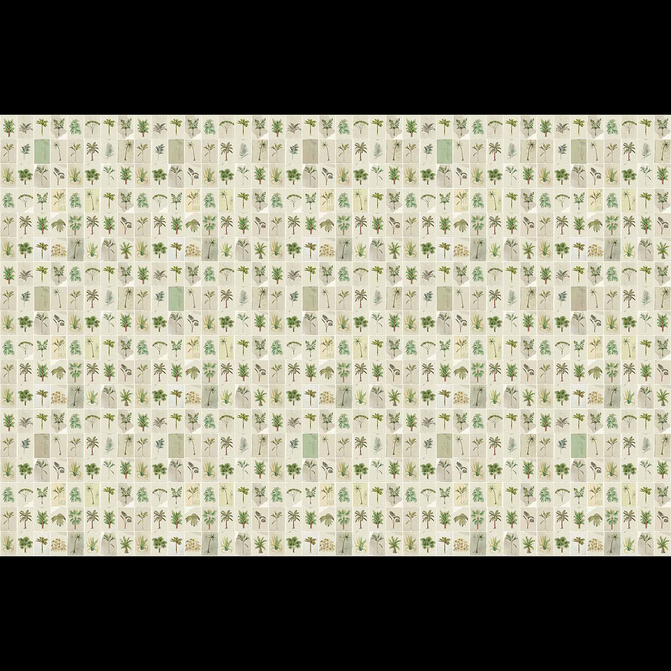 Postcards from the Tropics