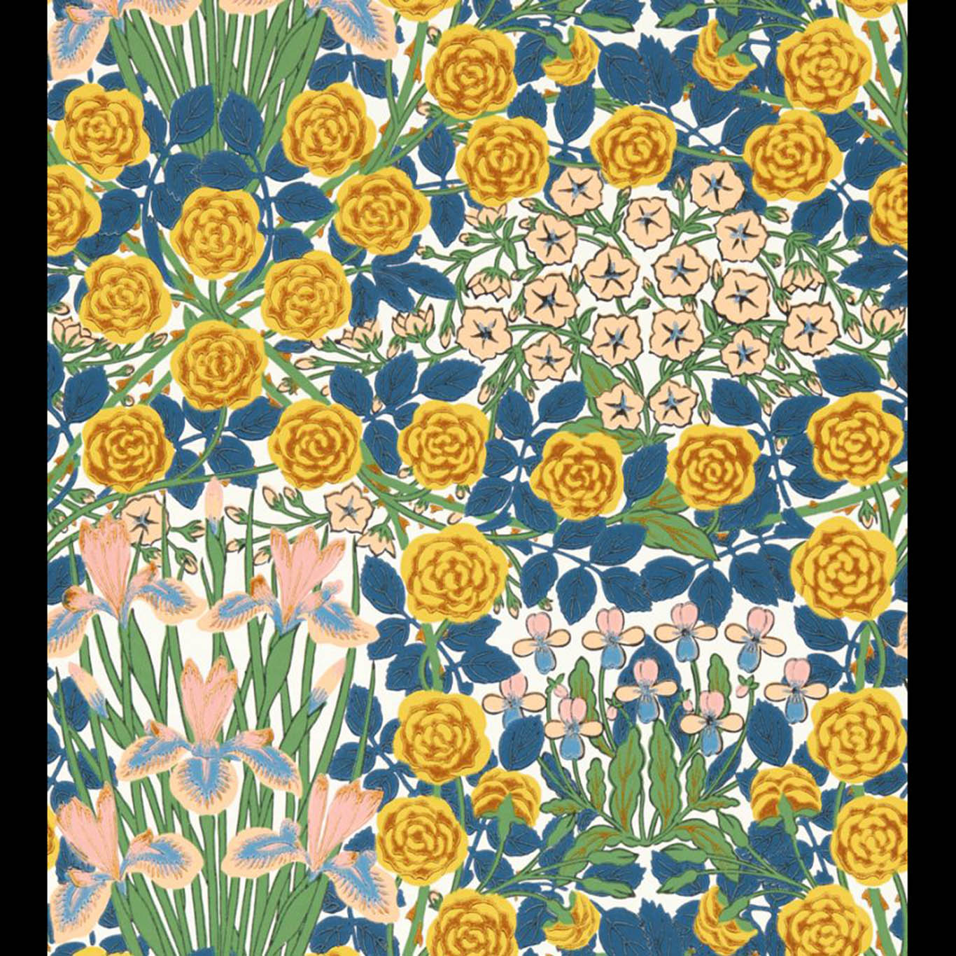 Campanula