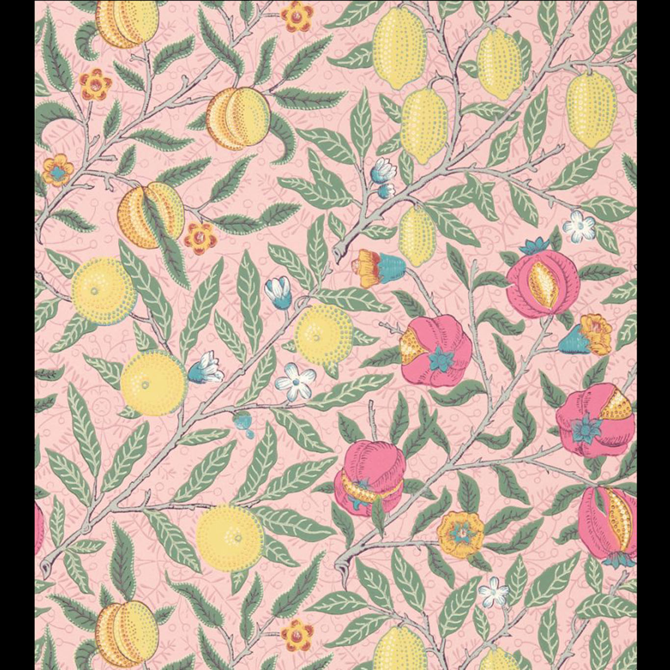 Fruit