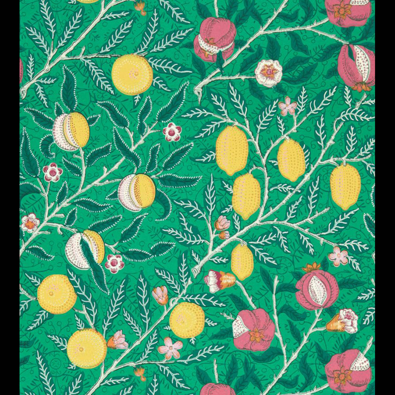 Fruit