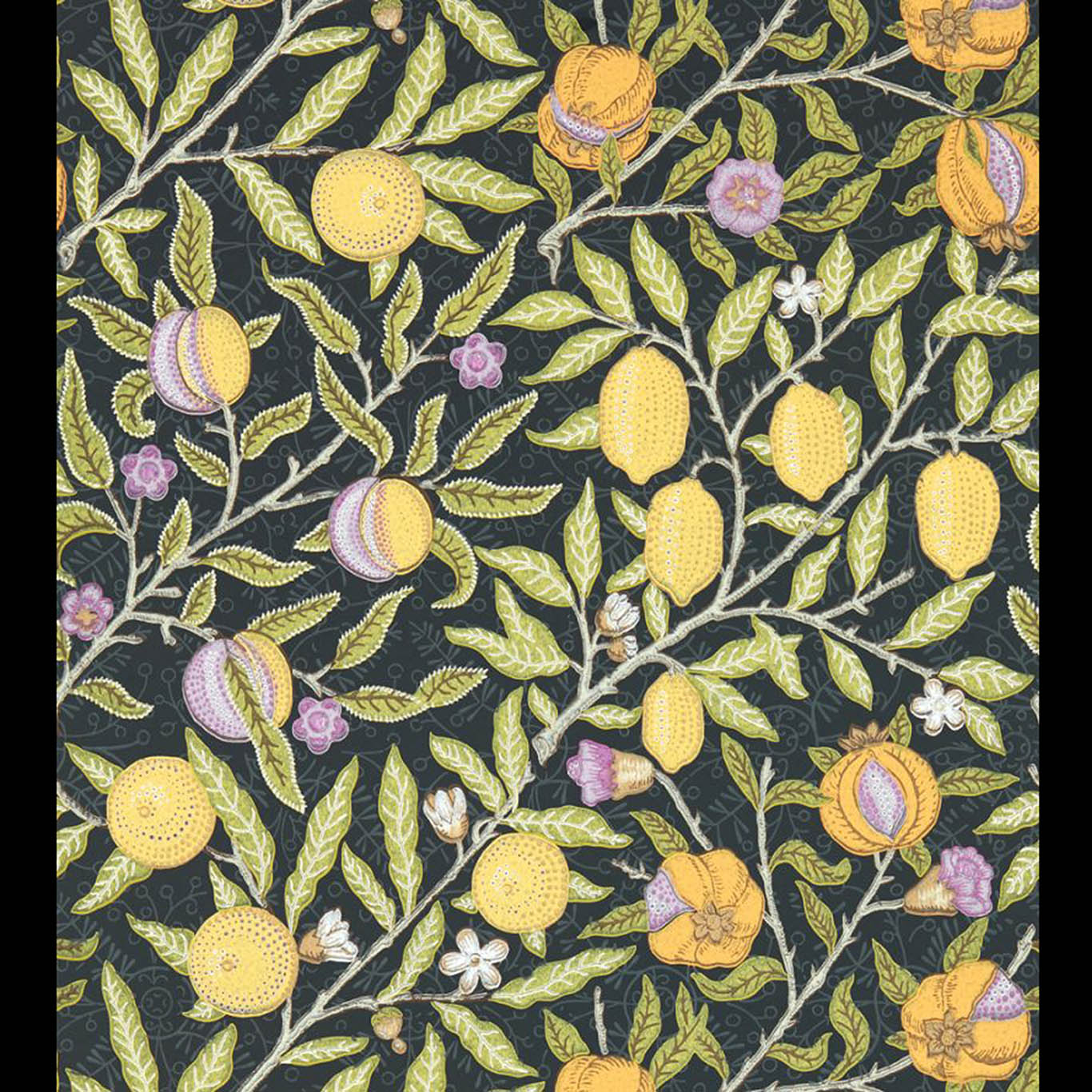 Fruit
