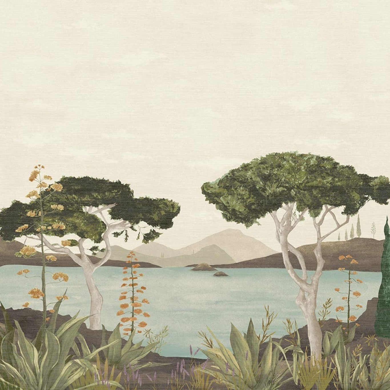 Patacona