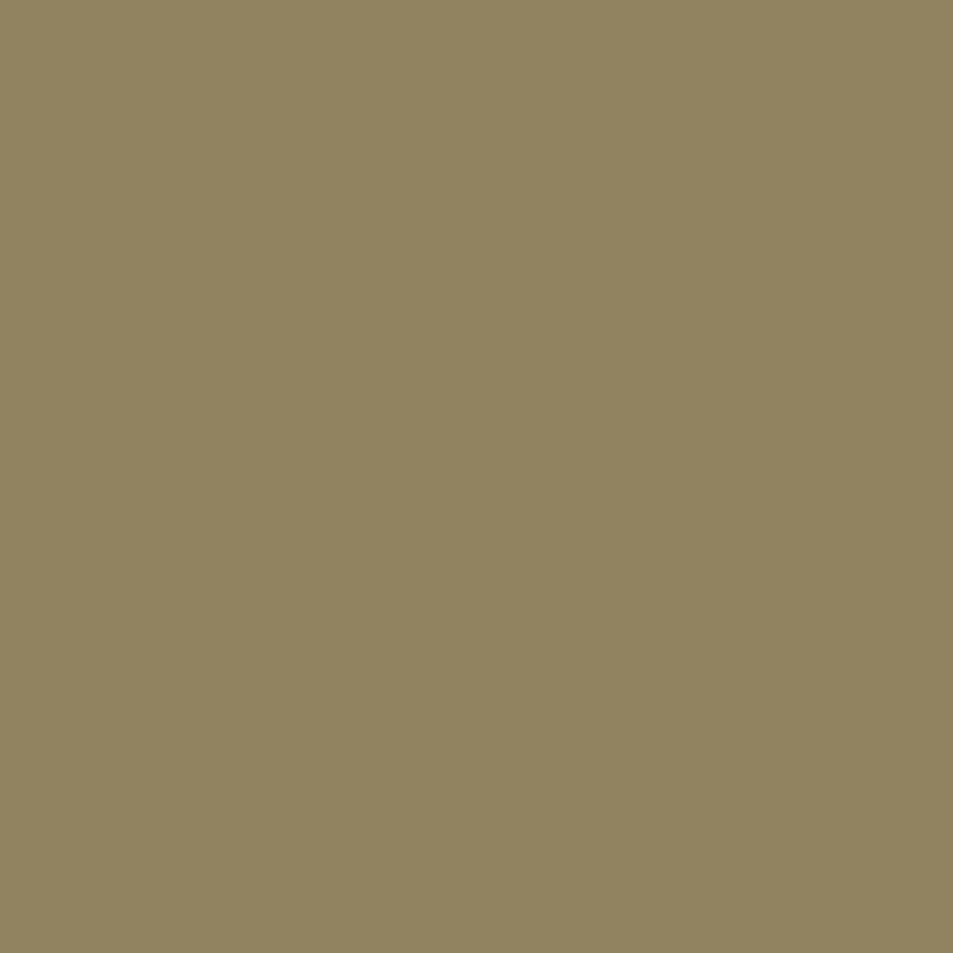 PIGMENTS