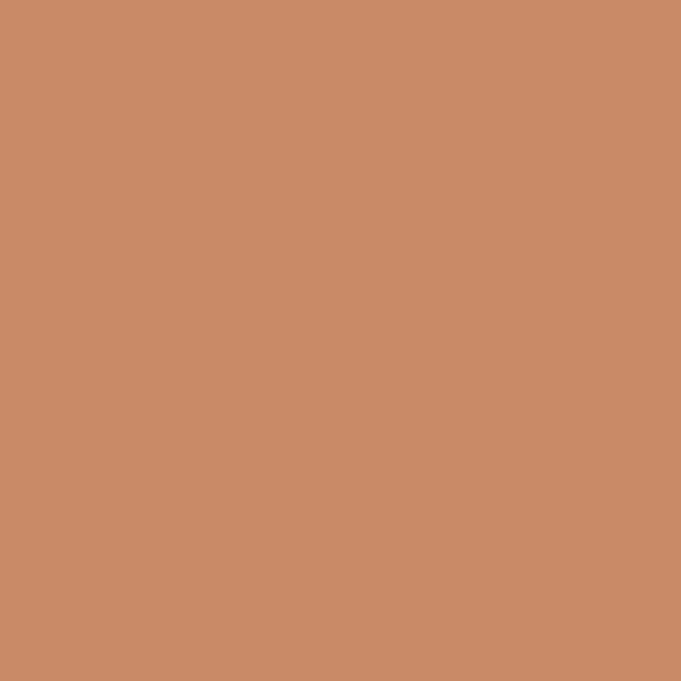 PIGMENTS