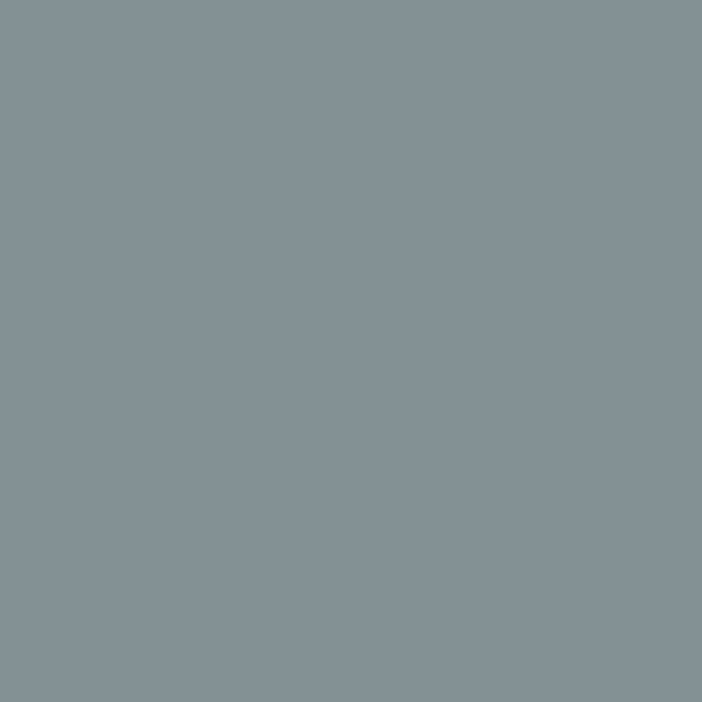 PIGMENTS