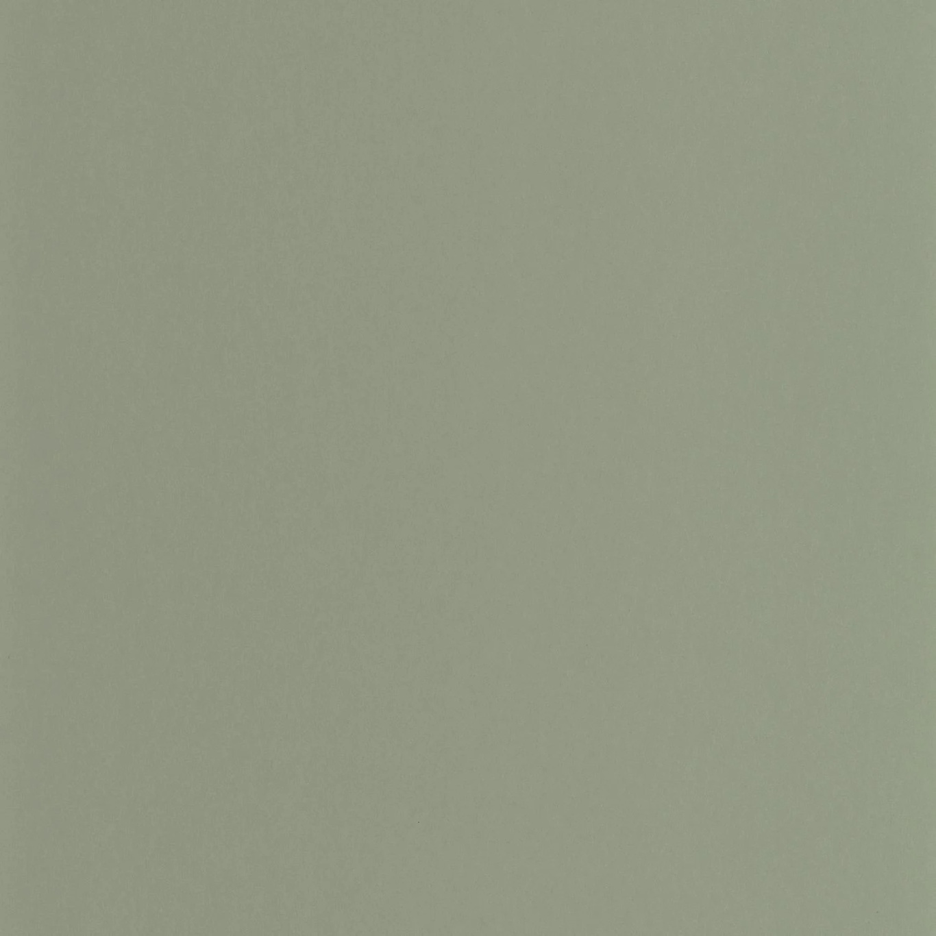 PIGMENTS