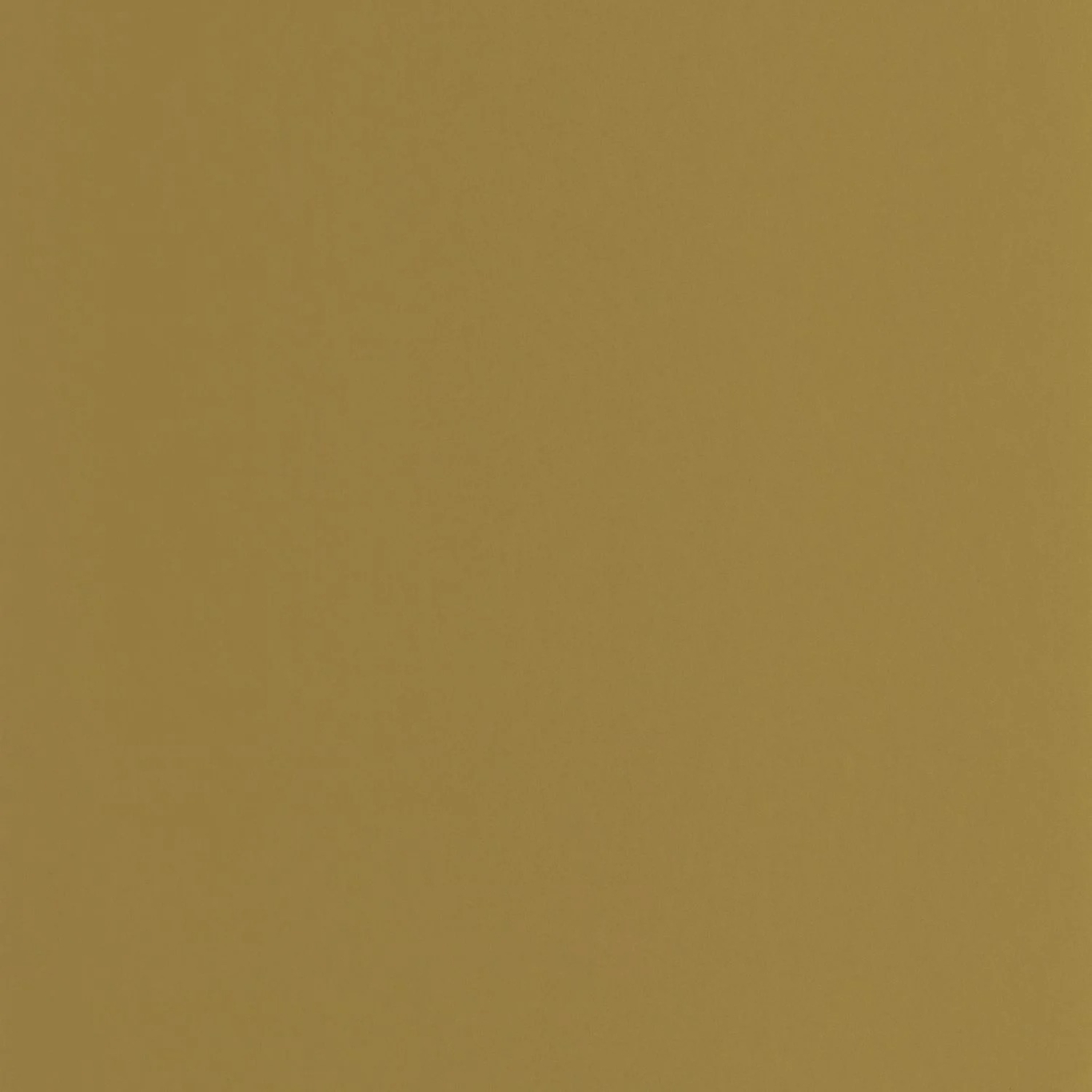 PIGMENTS