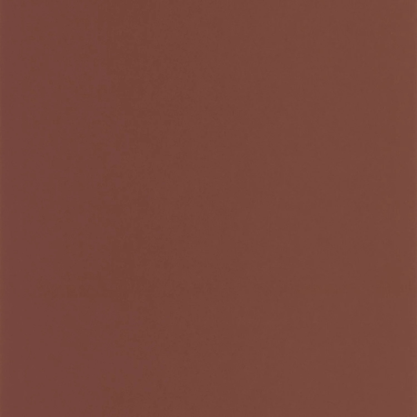 PIGMENTS