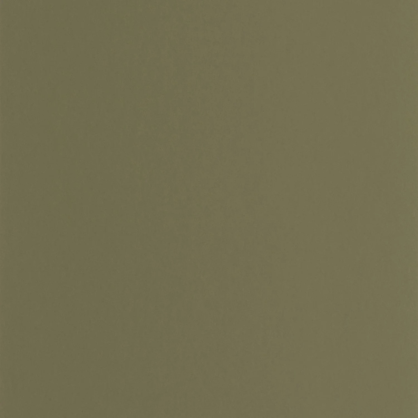 PIGMENTS