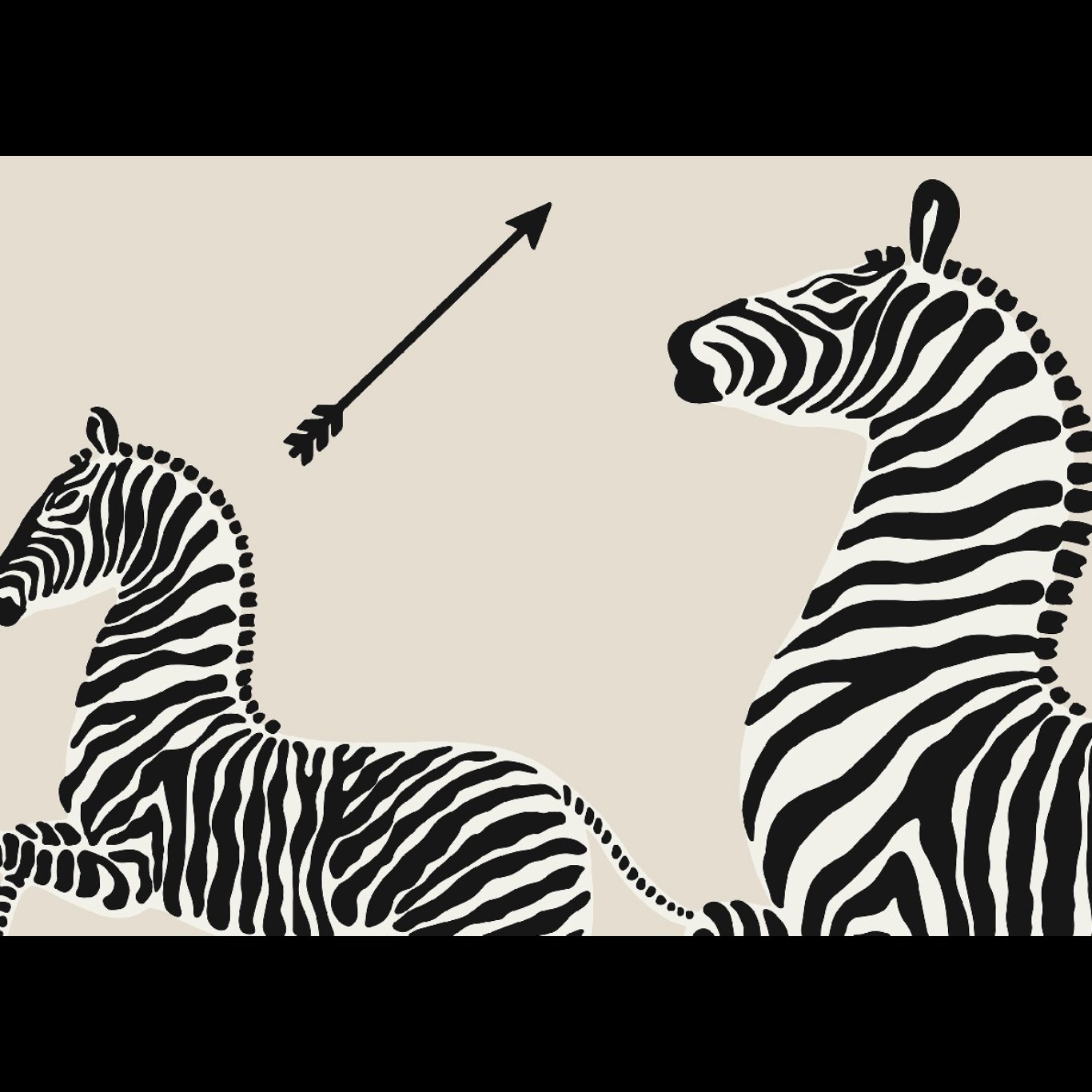 ZEBRAS