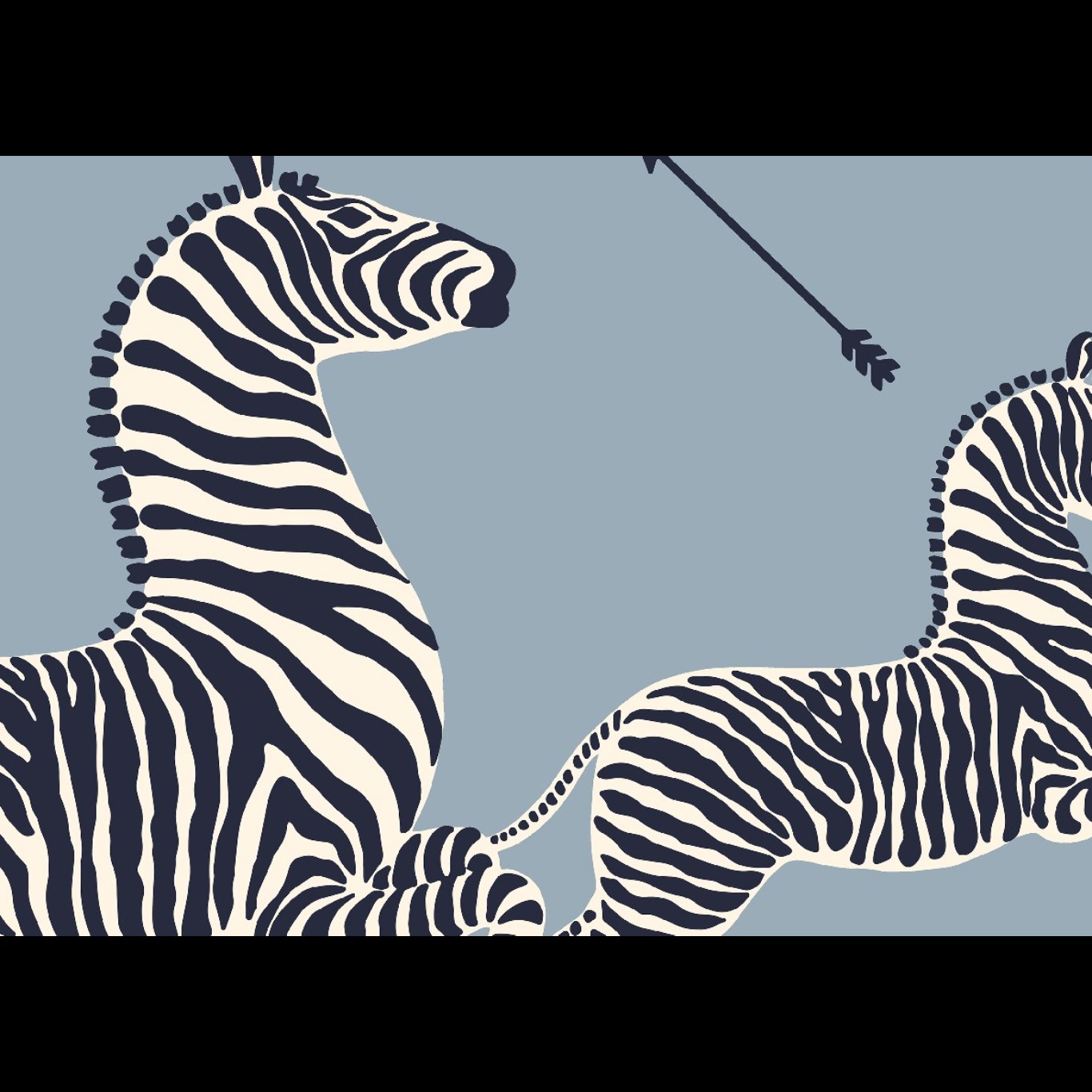 ZEBRAS