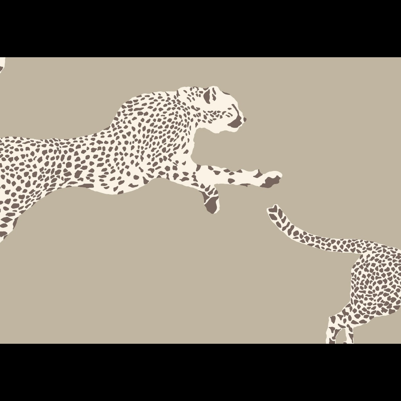 LEAPING CHEETAH
