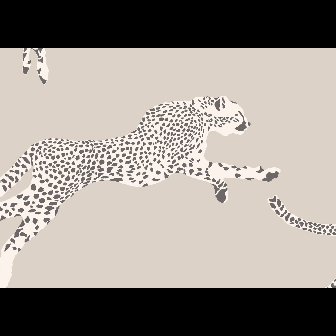 LEAPING CHEETAH