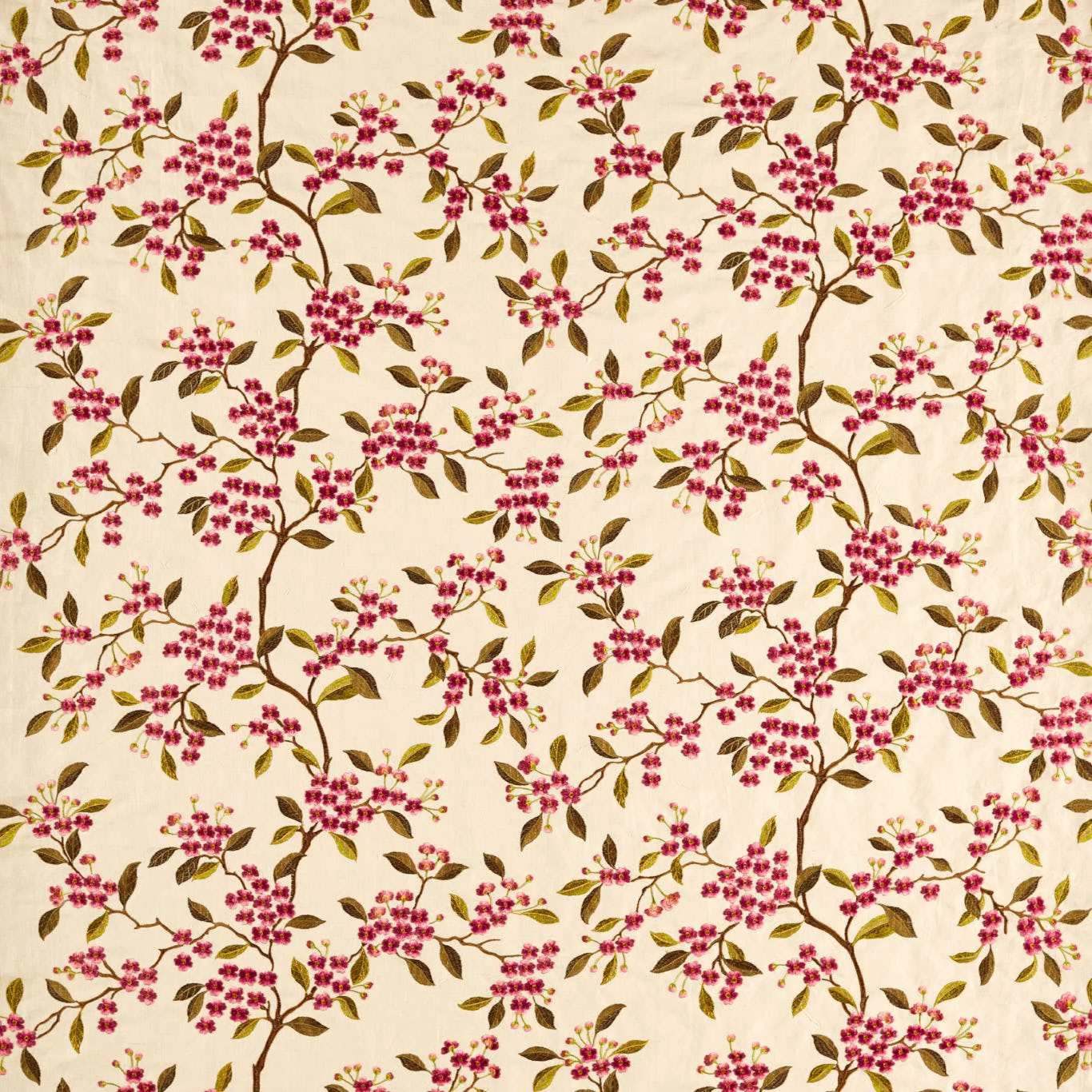 Damson Blossom