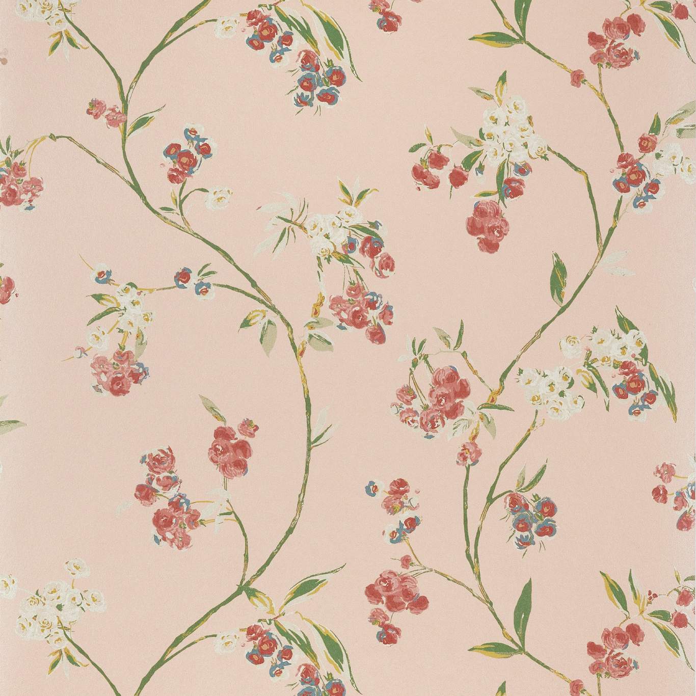 EDO BLOOM