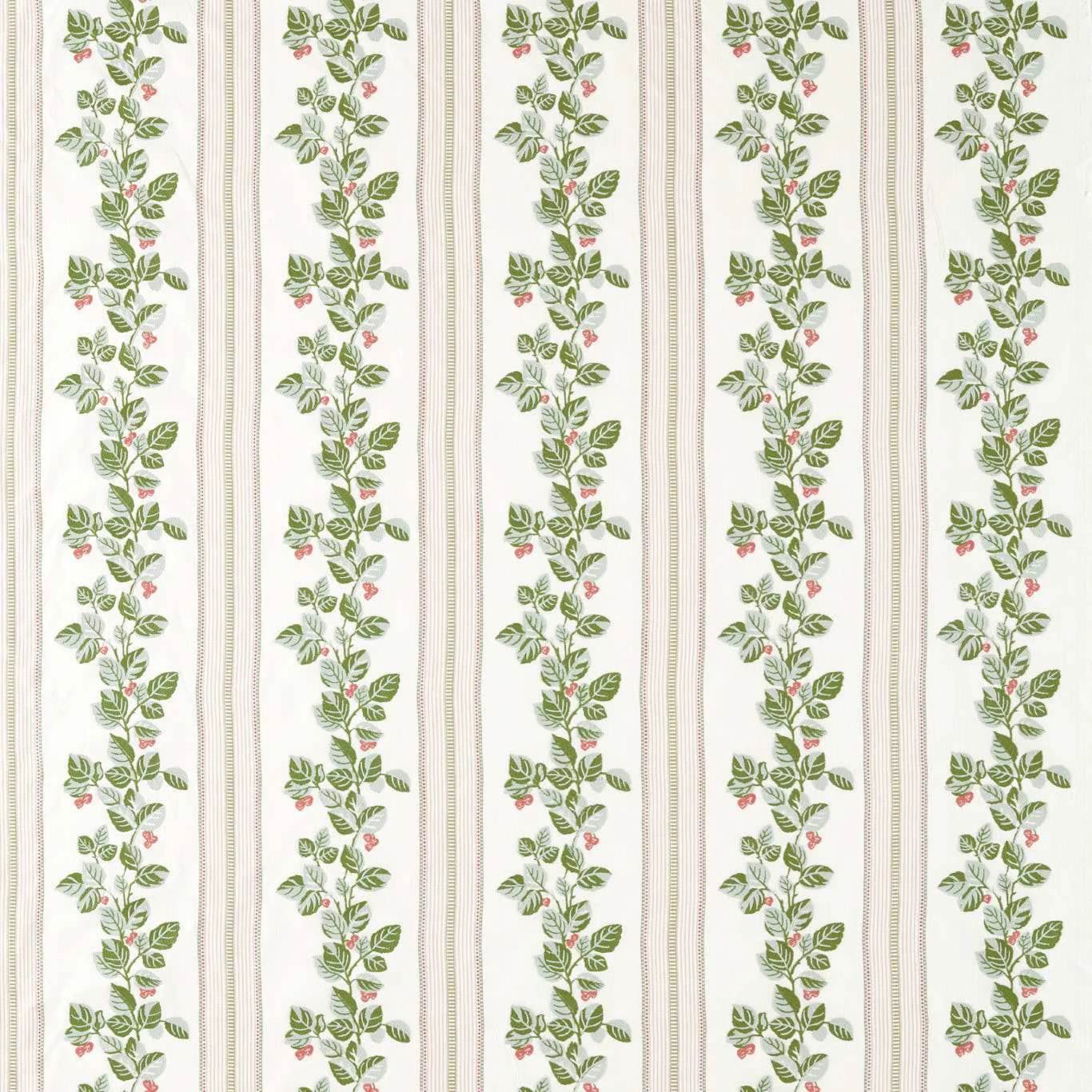 Cobnut Stripe