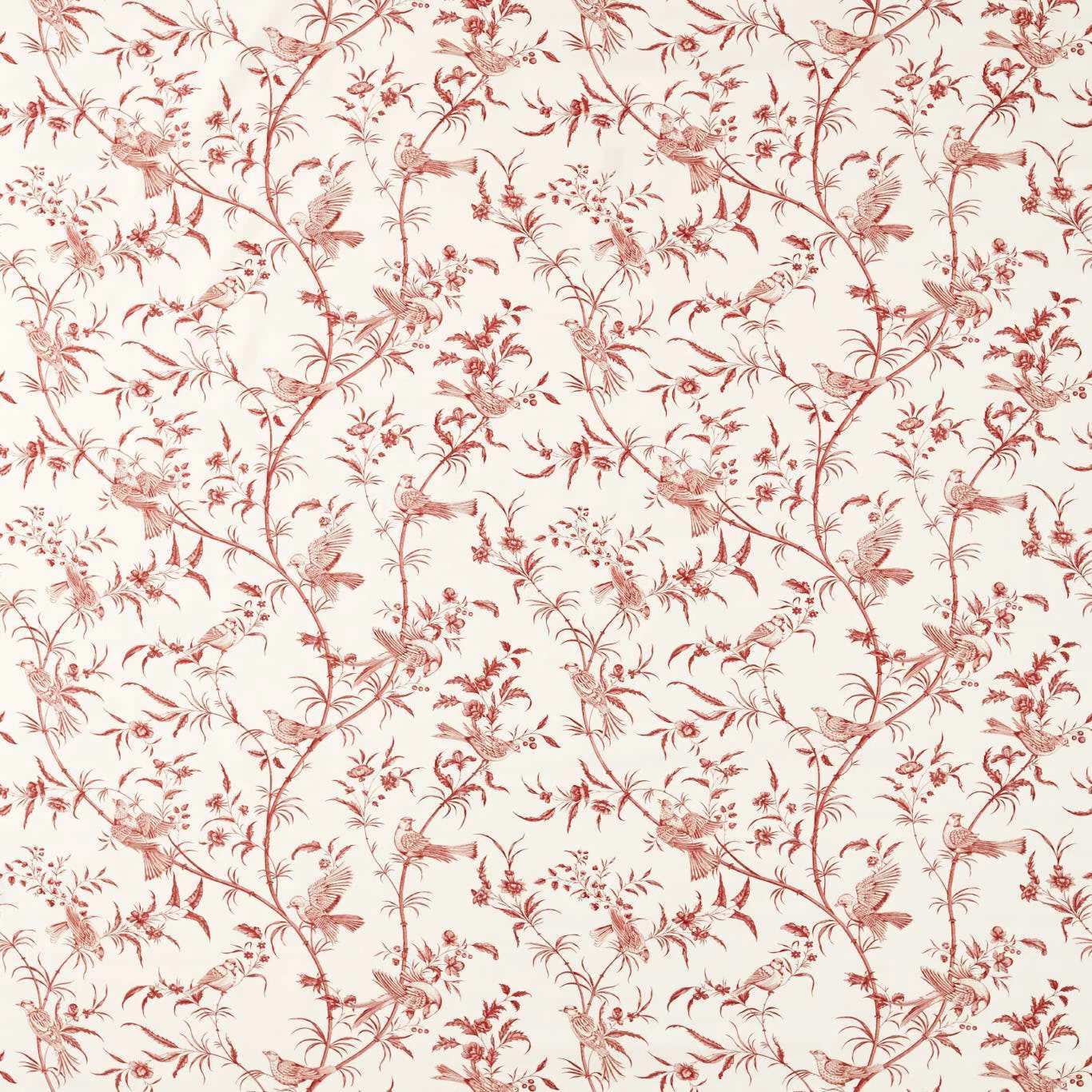 Paradise Woods Toile