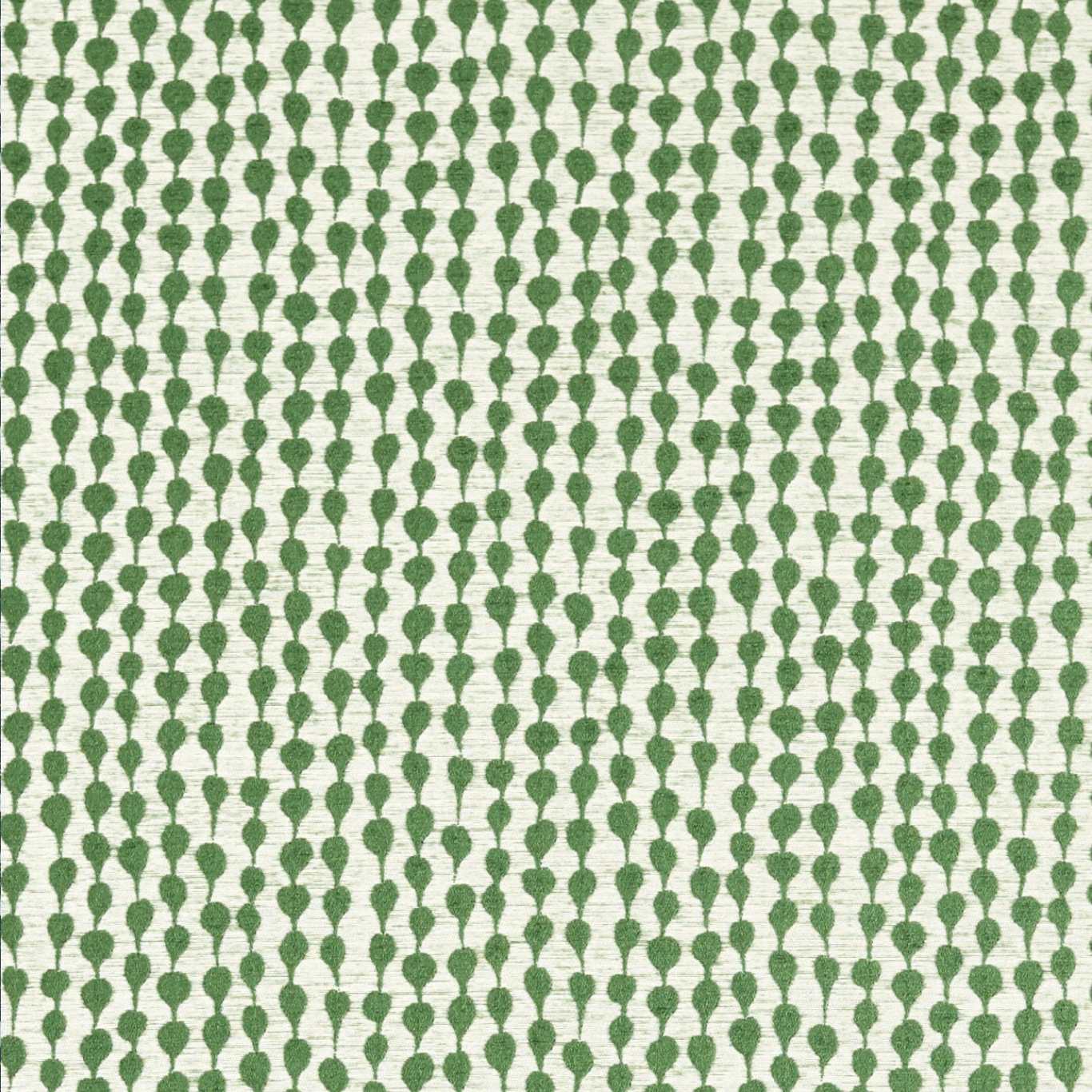 Sorrel 
