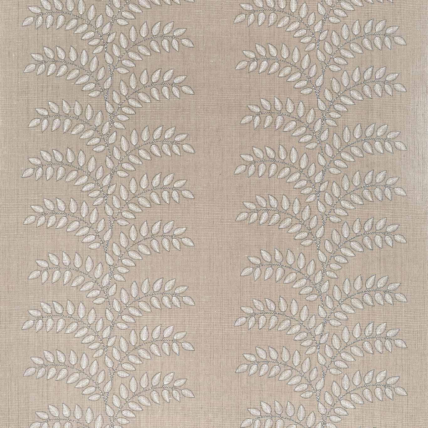 FRONDESCENCE