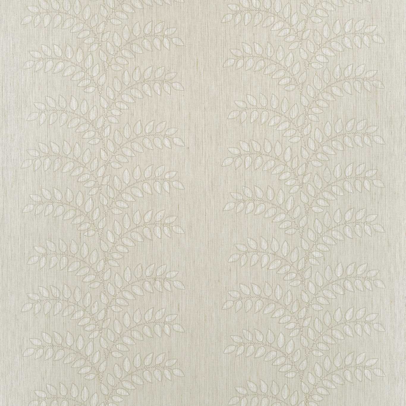 FRONDESCENCE