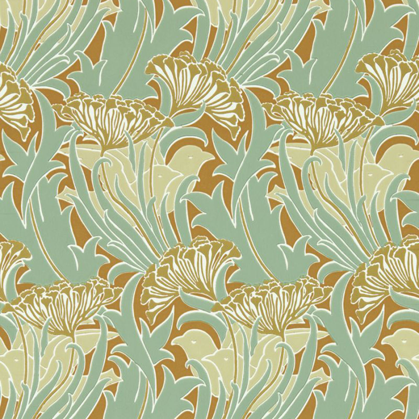Laceflower