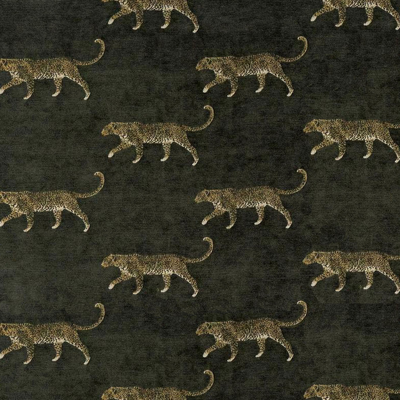 LEOPARD