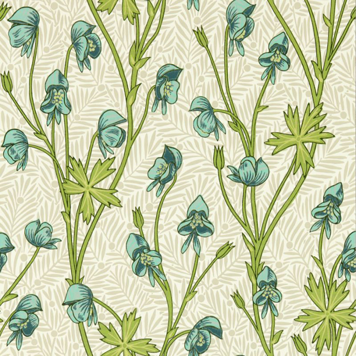 Monkshood