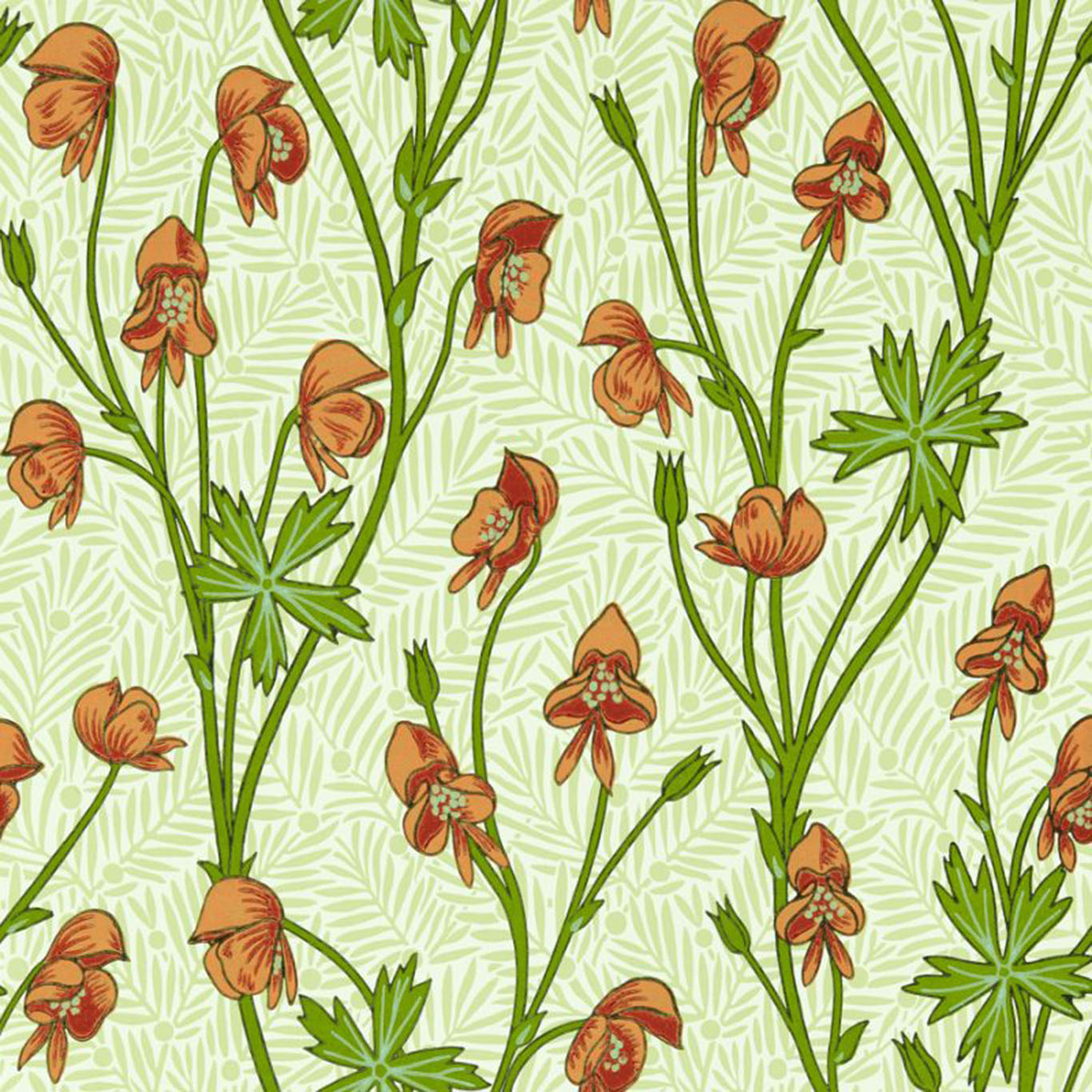 Monkshood