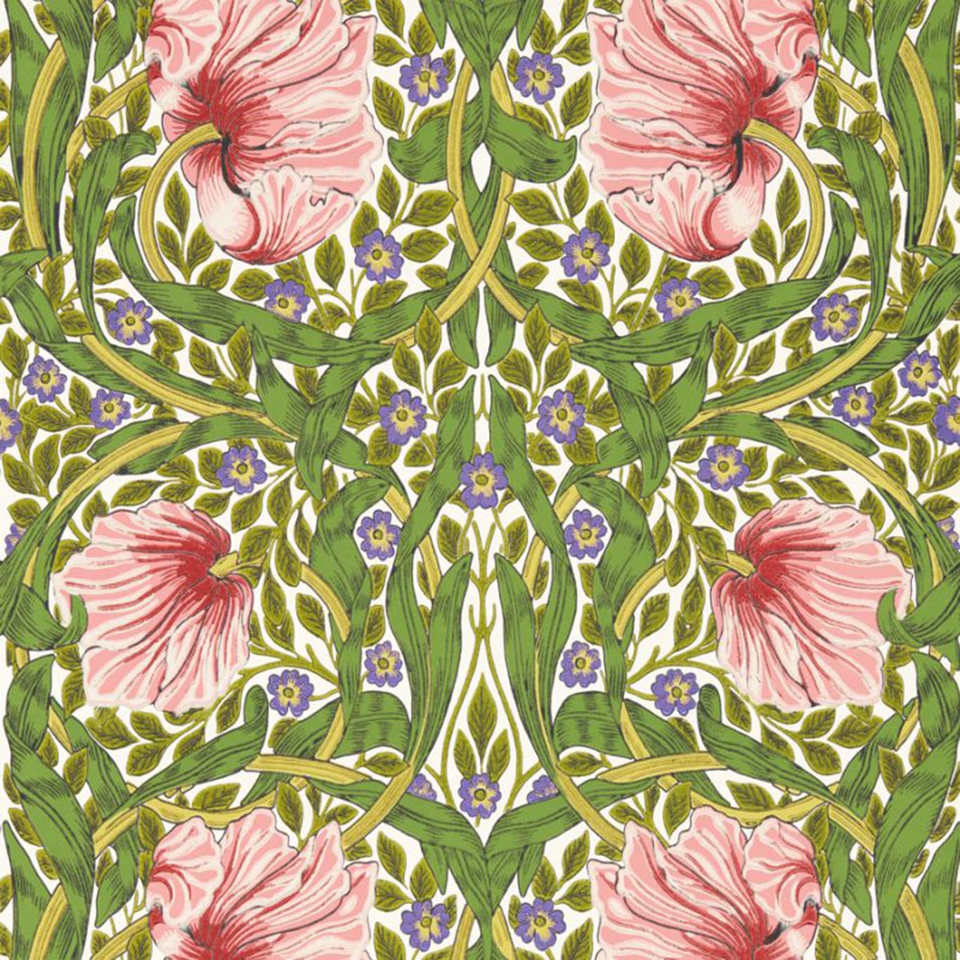 Pimpernel