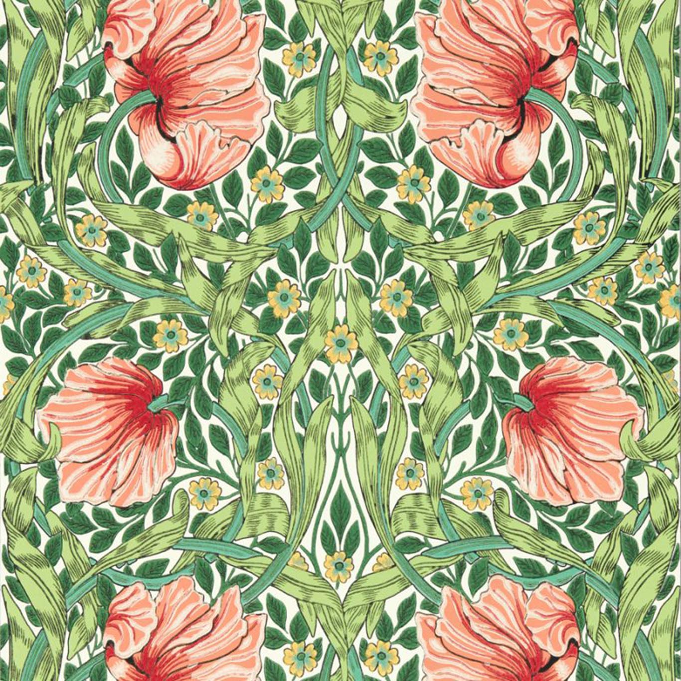 Pimpernel