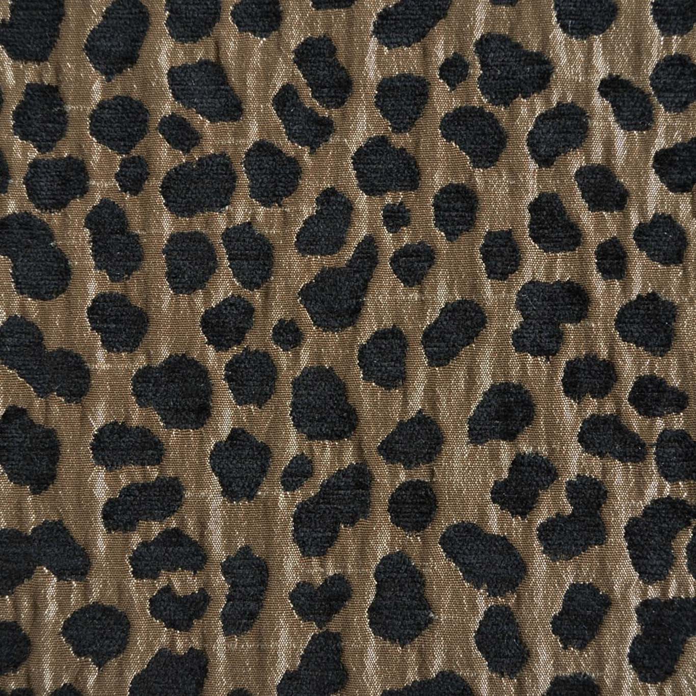 SERENGETI