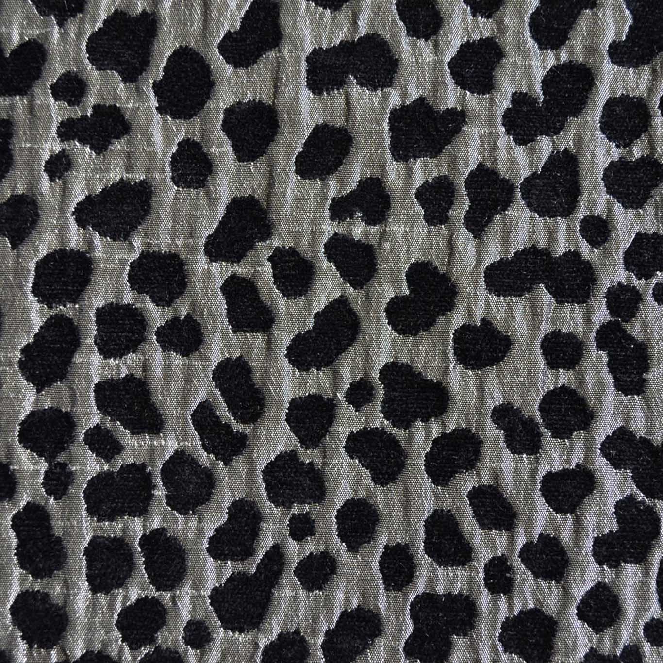 SERENGETI