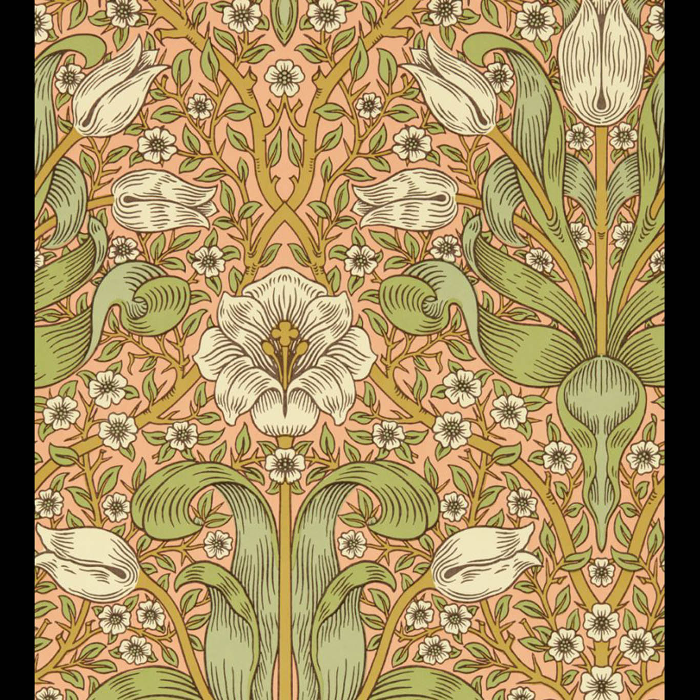 Spring Thicket