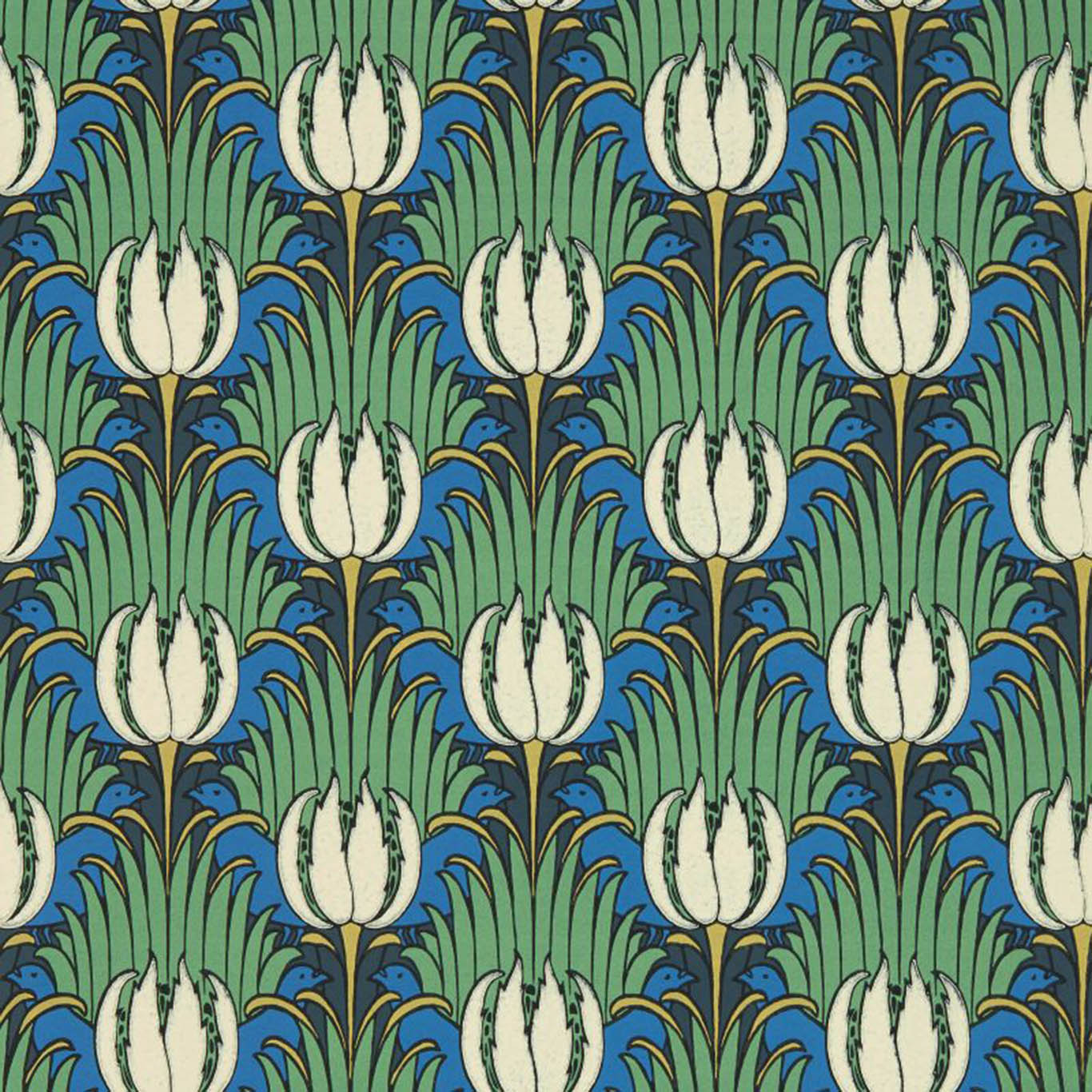 Tulip & Bird